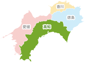 高知